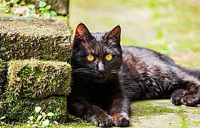 消息称PSVR 2将向下兼容初代PSVR所有游戏作品